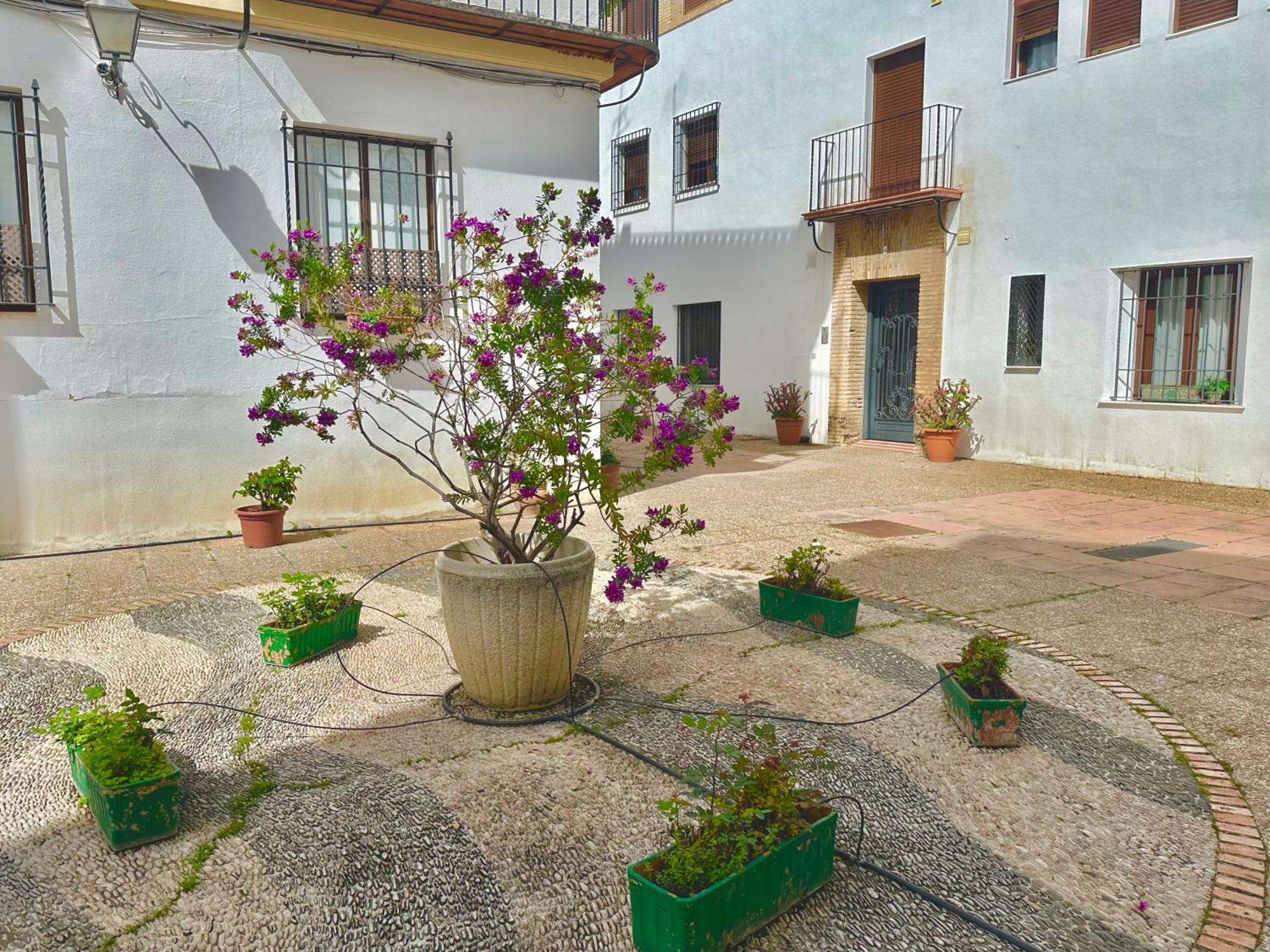 La Sacristia De San Pablo Apartman Córdoba Kültér fotó